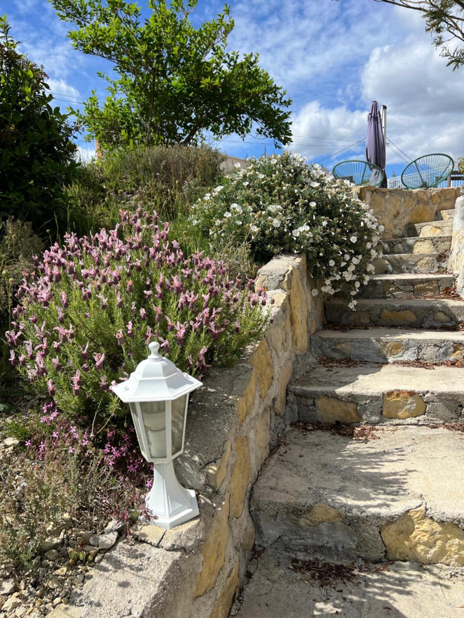 Le Gite Du Vigneron Lagorce  Luaran gambar